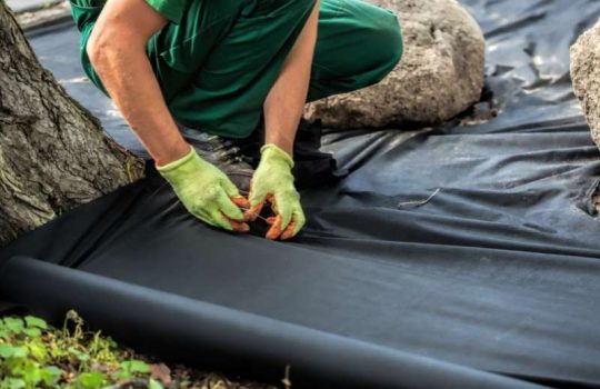 Landscape Weed Barrier2